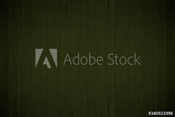 Wood painted green background