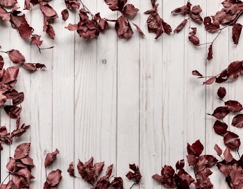 Wood Panel Background Framed By Leaves
