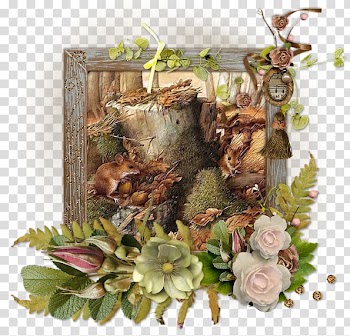 Wood, Petal retro wood frame transparent background PNG clipart