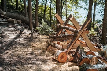 Wood Pile Cutting