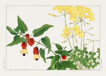 Wood sorrel woodblock painting by Tanigami | Free Photo Illustration - rawpixel