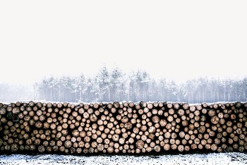 Wood stack border collage element | Free PSD - rawpixel