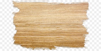 Wood stain Plywood - Wood texture 