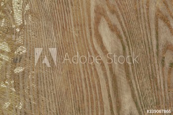 Wood texture background | Old plank design