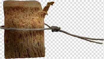 Wood Tree stump Icon, tree stump transparent background PNG clipart