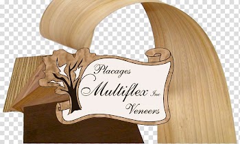 Wood veneer Frame and panel Joiner Furniture, wood transparent background PNG clipart