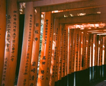 Wood  With Chinesse Lettters