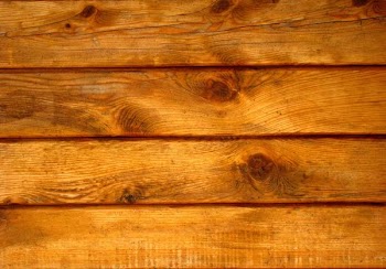 wood1 (2a).JPG