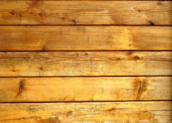 wood1 (4a).JPG