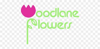 Woodbury, Mn Florist - Woodlane Flowers