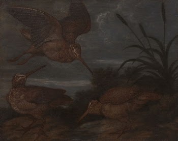 Woodcock at Dusk | Free Photo - rawpixel