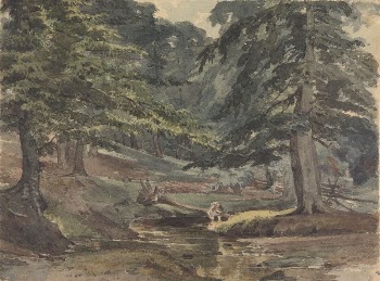 Wooded River Scene | Free Photo - rawpixel