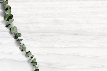 Wooden background with plant | Free stock vector - 597622