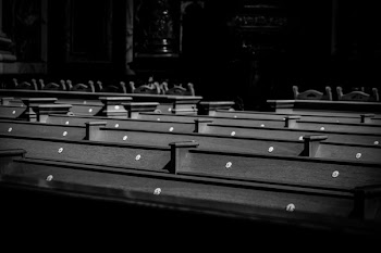 Wooden Benches on Park