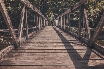 Wooden Bridge Free Photo 