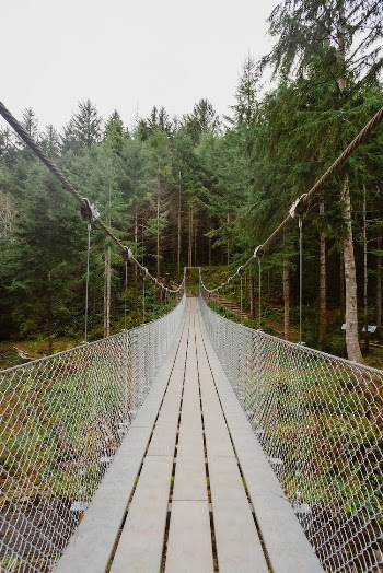 Wooden Bridge Near Trees