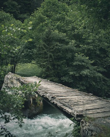 Wooden Bridge Through Forest