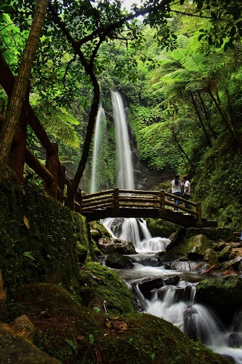 Wooden Bridge With The View Of Waterfalls and Trees In A Tropical Forest