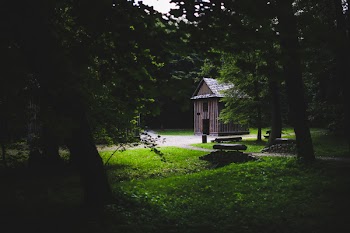 Wooden building in the forest