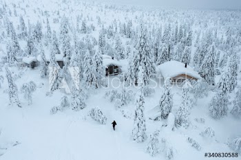 Wooden cabins in a snowy forest