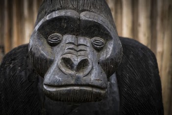 Wooden carving gorilla, animal photo. | Free Photo - rawpixel