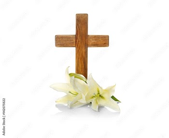 Wooden cross and lily on white background