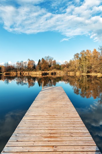 Wooden Dock 