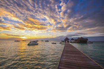 Wooden Dock during Sunset