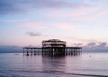 wooden dock in the middle of the sea during daytime