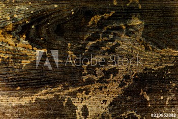 Wooden floor background