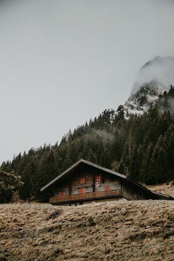 Wooden House