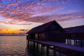 Wooden House Dock