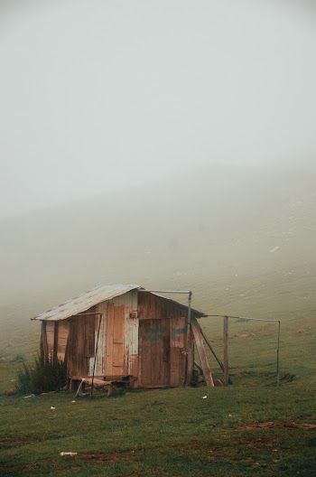 Wooden House on Grass Field During Foggy Weather