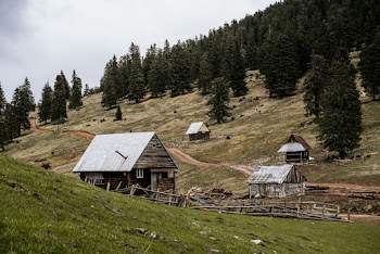 Wooden Houses