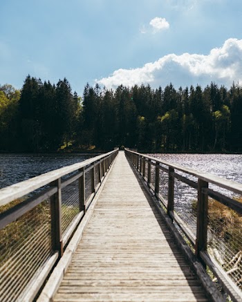 Wooden Jetty