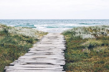 Wooden path through the grass | Free Photo - rawpixel
