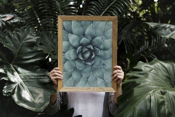 Wooden photo frame mockup, nature | Free PSD Mockup - rawpixel