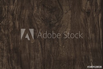 Wooden plank close up