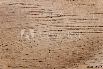 Wooden plank close up