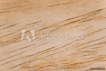 Wooden plank close up
