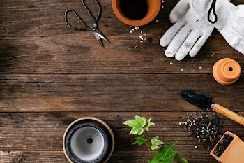 Wooden plant background with the gardening… | Free stock photo | High Resolution image