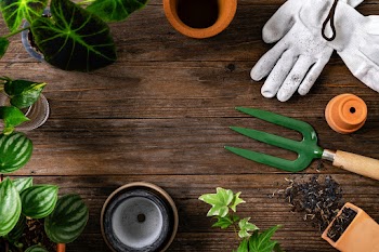 Wooden plant background with the gardening… | Free stock photo | High Resolution image