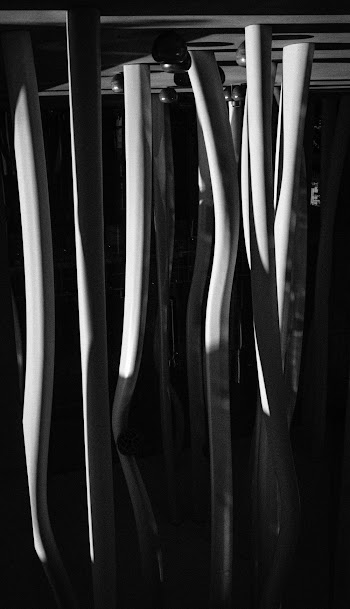 Wooden Pole