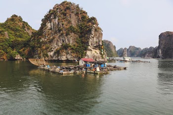 Wooden Raft on Body of Water