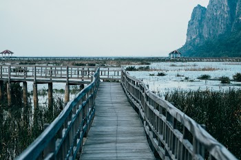 Wooden Seadock and View of Mountain