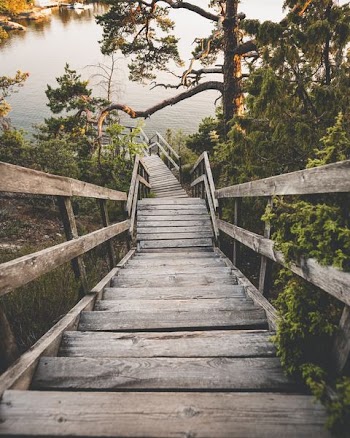 wooden stairs near body of water
