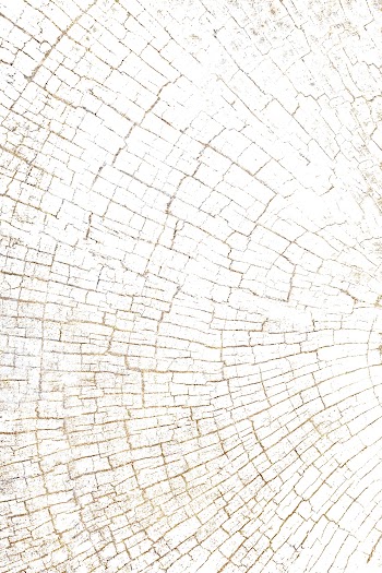 Wooden textured background | Free  illustration - 2252175