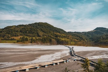 Wooden Walkway Near Body of Water