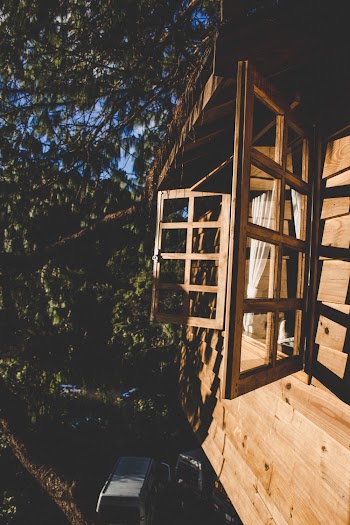 wooden window