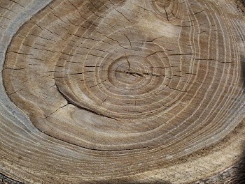 woodgrain_7.jpg